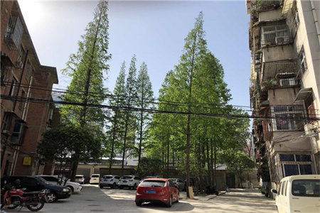 刘店佳苑三号楼三单元102室，三室两厅一卫一厨。